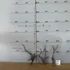 Tocones de Árbol Muerto Ramas Modelo Microscópico Escena Fabricación Suministros para Mascotas Base de Figura Embellecimiento de Fondo Decoración Obstáculo