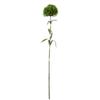 Planta Verde de Simulación Clavel Verde Venta Caliente Transfronteriza Sensación de Cosquilleo Clavel Falso Plástico Flor Falsa Bola de Pelo Verde Decoración de Mesa de Comedor