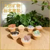 Piedra en bruto de cristal natural más vendida transfronteriza mineral planta en maceta maceta de cerámica adorno gema de cristal decoración de escritorio para el hogar coche