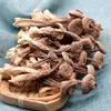 Selección Premium Hongos de Astas de Ciervo Secos, Hongo de Astas de Ciervo para Sopa, Estofado de Hongos y Shiitake, Delicadeza de Montaña Nueva Temporada