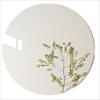 Espejo Acrílico Suave Adhesivo de Pared de Alta Definición Redondo Ovalado Adhesivo de Pared para Hogar Dormitorio Dormitorio Baño Autoadhesivo No Requiere Clavos