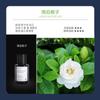 Ambientador de Ar para Carro Decoração de Vidro com Capa Estampada de Fragrância Leve, Aroma Fresco de Longa Duração para Interior de Carro