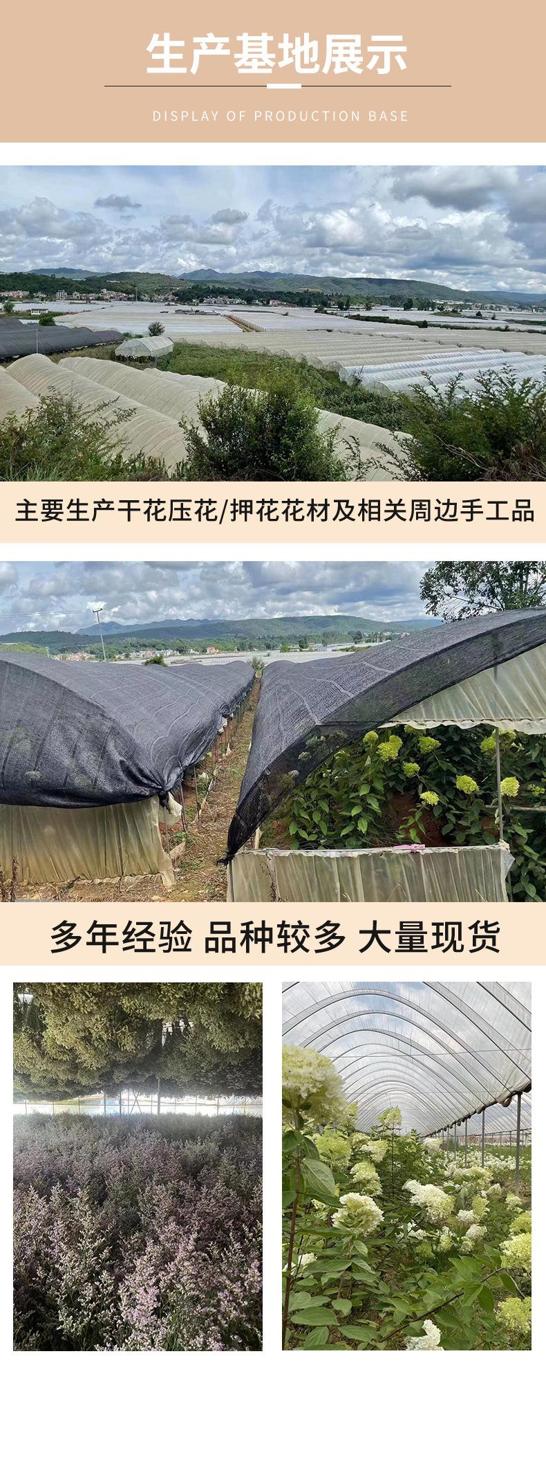 详情-拷贝_06
