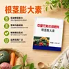 Agente Hinchante de Rizoma Fertilizante Foliar Agrícola Subterráneo Ajo Papa Camote Cacahuete Mostaza Encurtida Fruta Grande Fertilizante Soluble en Agua