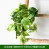 Colgante de pared de hiedra verde artificial, enredadera verde decorativa para interiores, cesta de flores colgante de pared de plástico artificial, colgante de pared de enredadera, planta verde artificial