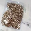 Arte de Unha Champagne Flat Joias de Diamante Pacote Completo Versátil Mini Gota D'água Borboleta Lua Formato Acessórios de Arte de Unha com Diamante Atacado