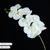 9 orquídeas Phalaenopsis artificiales, decoración de alta gama para el hogar, hotel, bodas y accesorios para fotografía