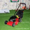 Para Uso de Exportación: Cortacésped Autopropulsado de 20 pulgadas, Bordeadora de Césped Autopropulsada, Eliminador de Malezas, Cortadora de Césped, Podadora de Setos