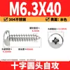 Tornillos Autorroscantes Phillips Cabeza de Lenteja de Acero Inoxidable 304 Clavos Autorroscantes Cabeza de Lenteja PA Tornillos de Rosca para Madera M1M2M3M4M5-M8