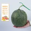 Modelo de fruta de plástico de simulación manzana piña pera melón Hami naranja fruta y verdura falsa accesorios para fotografía alimentos y juego materiales didácticos