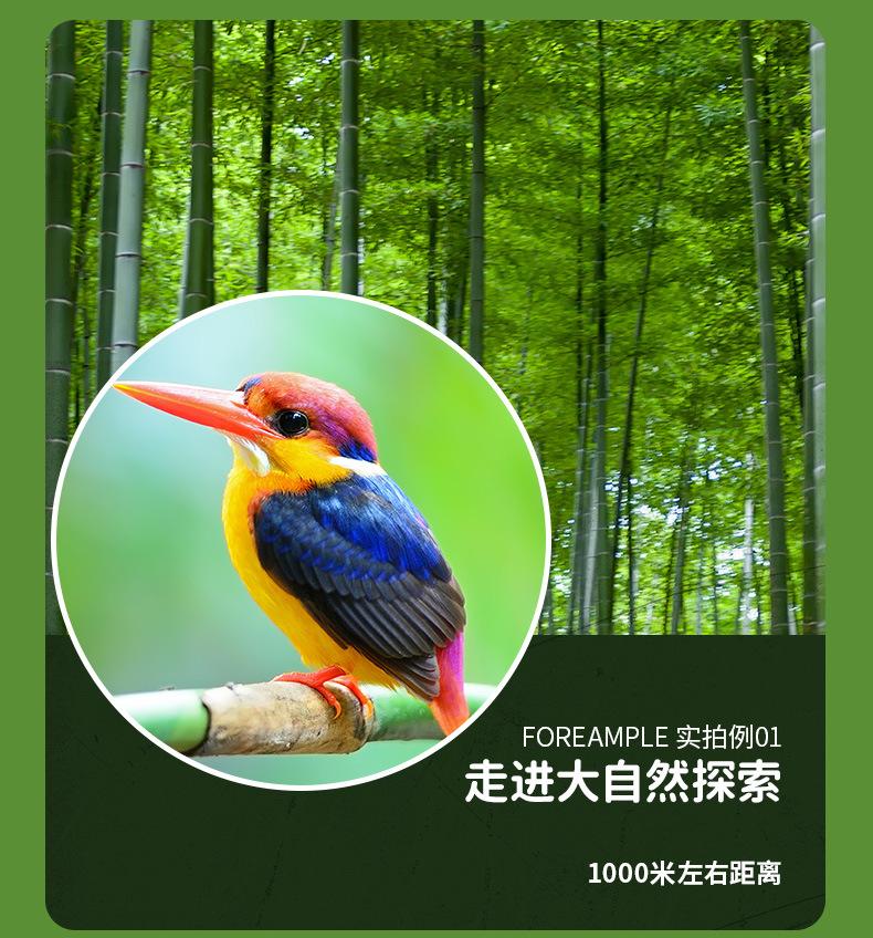 迷彩双筒详情页_16.jpg
