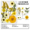 Nuevo Paquete de Materiales DIY Hecho a Mano en Relieve Maquillaje Estilismo Foto Personal Maquillaje Facial Flores Secas Especímenes de Plantas en Relieve