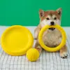 Juguete de Pelota para Mascotas EVA Perro Frisbee Flotante Entrenamiento Anillo de Tracción para Perro Bola para Mascotas Resistente a Mordeduras Molar Bola con Cuerda
