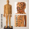 Maniquí Masculino Transparente Grabado de Meridianos de Acupuntura de 85 cm Esqueleto Humano Órganos Internos Cerebro Modelo de Puntos de Acupuntura