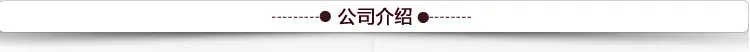 公司介绍3