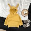 Suéter con Capucha para Niños Otoño e Invierno Estilo Coreano Moderno Unisex Bebé Versátil Pequeño Diablo Moda Casual Top de Punto