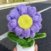 Producto Artesanal de Conejo Hecho con Ramas Retorcidas, Flores Retorcidas Realistas Hechas a Mano, Planta Pequeña en Maceta Decoración para el Hogar, Venta al por Mayor Transfronteriza