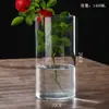 Jarrón para Plantas Hidropónicas Maceta de Vidrio Borosilicato Jarrón de Flores Artístico Botella Paisaje de Musgo Jarrón de Vidrio Recto