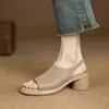 Sandálias Femininas Estilo Romano Simples Francês Boca de Peixe 2026 Primavera Verão Novo Couro Macio Tira Traseira Simples Salto Bloco Salto Alto