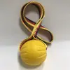 Fabricante Mayorista de Suministros para Mascotas Pelota de Eva Frisbee para Perros Juguete Interactivo de Tira y Afloja Anillo de Tracción con Cuerda Pelota Dardos Que No Muerden