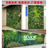 Parede de Plantas Simulada Parede Verde Decoração Externa Parede Eterna Recinto de Parede Hotel Shopping Parede de Celebridade da Internet Varanda Cabeça de Porta Decoração