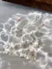 Yitu Adesivos para Unhas Shell de Camada Dupla de Formiga Estrela do Mar Fofa Brilhante Estrela de Quatro Pontas em Inglês Adesivos Decorativos Yt5871