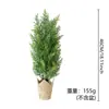 Decoraciones navideñas estilo europeo transfronterizas de Amazon TEMU, adornos de árbol de Navidad con simulación de nieve para escritorio, decoraciones para chimenea