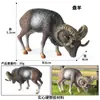 Simulación Cognitiva Animal Sólido Aves de Corral Ganado Burro Modelo Cría Burro Manchado Burro Juguete Burro Adornos