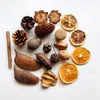Set Combinado de Virutas de Madera de Piña, Hojas, Flores Secas y Frutas Secas, Adornos Decorativos para Jardín de Infancia, Accesorios Retro para Fotos