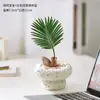 Planta Bebê de Ipê em Vaso, uma Ferramenta de Alívio de Estresse para Desktop para Trabalhadores, Fácil de Cultivar Hidroponicamente, Pequena Planta Verde Tolerante à Sombra para Banheiros