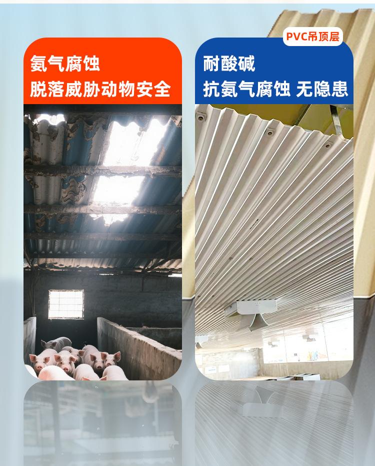 养殖场_03.jpg
