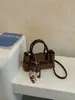 Bolso de Mano de Nicho Estilo Coreano Nuevo para Mujer Otoño/Invierno Retro Súper Popular Bolso de Viaje Bolso Cruzado de Hombro de Alto Valor