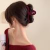 Horquilla de celebridad de Internet para mujer, gran horquilla para el pelo, pinza para la parte trasera del pelo, pinza de tiburón de alta calidad, tocado de horquilla para otoño e invierno