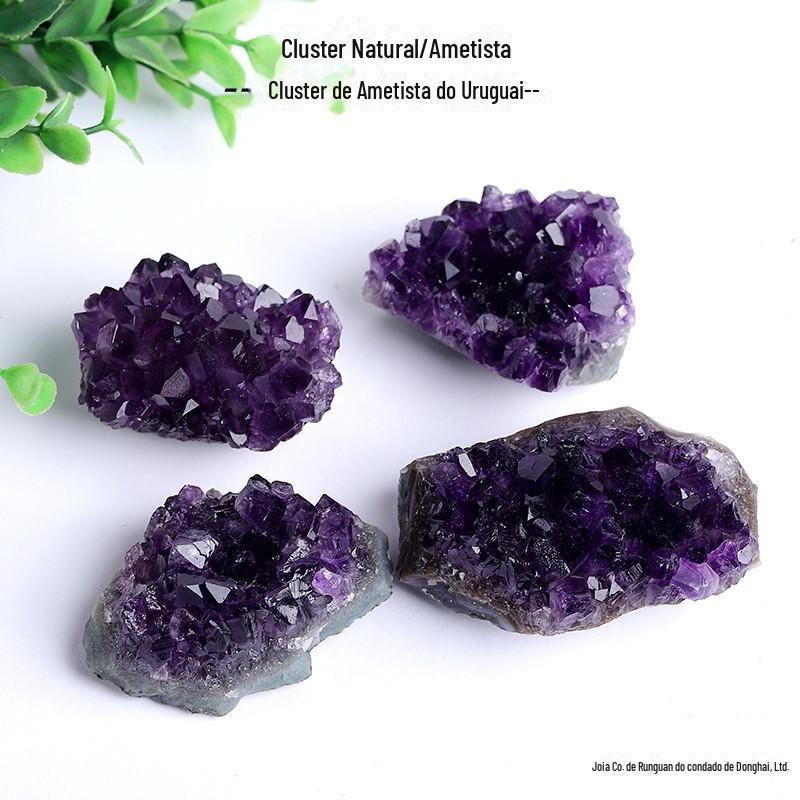 IMG_0641_副本_副本