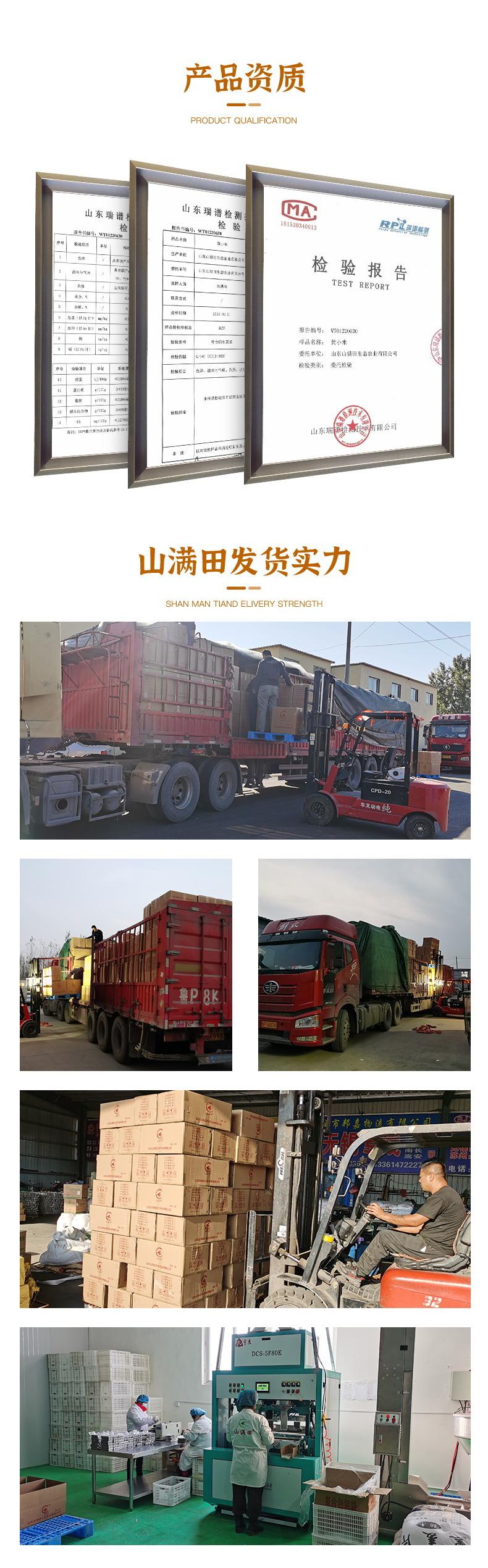 小黄米_11.JPG