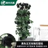 Glicínia Violeta Flor Artificial Pendurada na Parede Parede para Fotografia de Casamento Flor Falsa Pendurada Buquê de Flores Cesta Suspensa para Sala de Estar Decoração de Parede