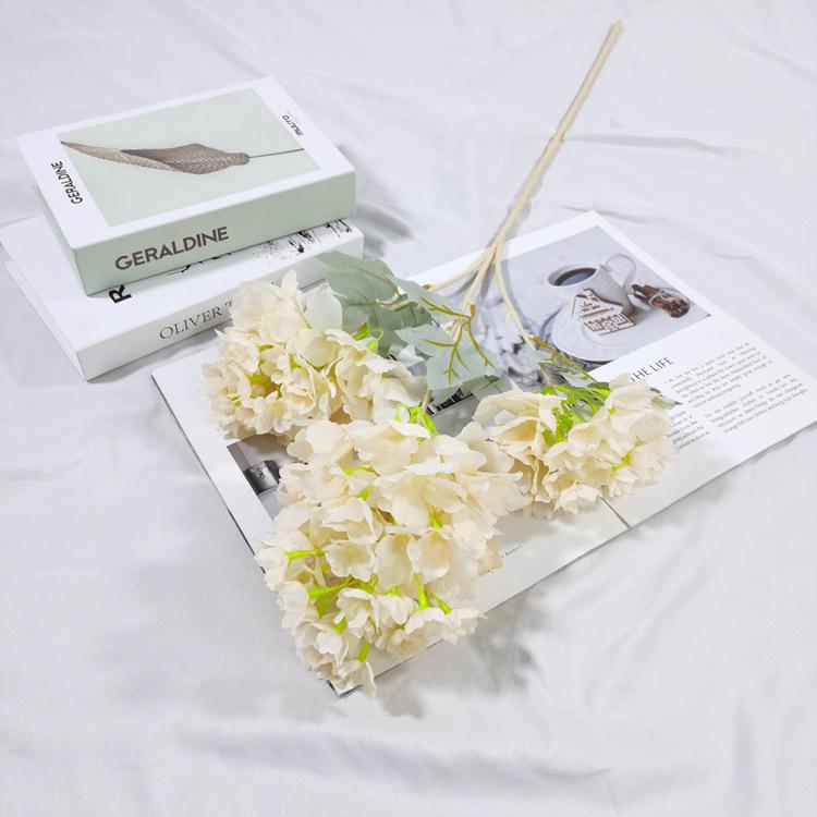 IMG_20220224_152826_副本