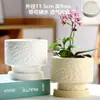 Vaso de Cerâmica para Flores com Prato, Estilo Ins de Luxo Leve, Diâmetro Grande, Estilo Creme, para Orquídeas e Suculentas, Liquidação