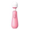 Laile Tumbler Feminino Conversão de Frequência Av Stick Masturbador Portátil Vibração Massagem Adulto Brinquedos Sexuais Atacado