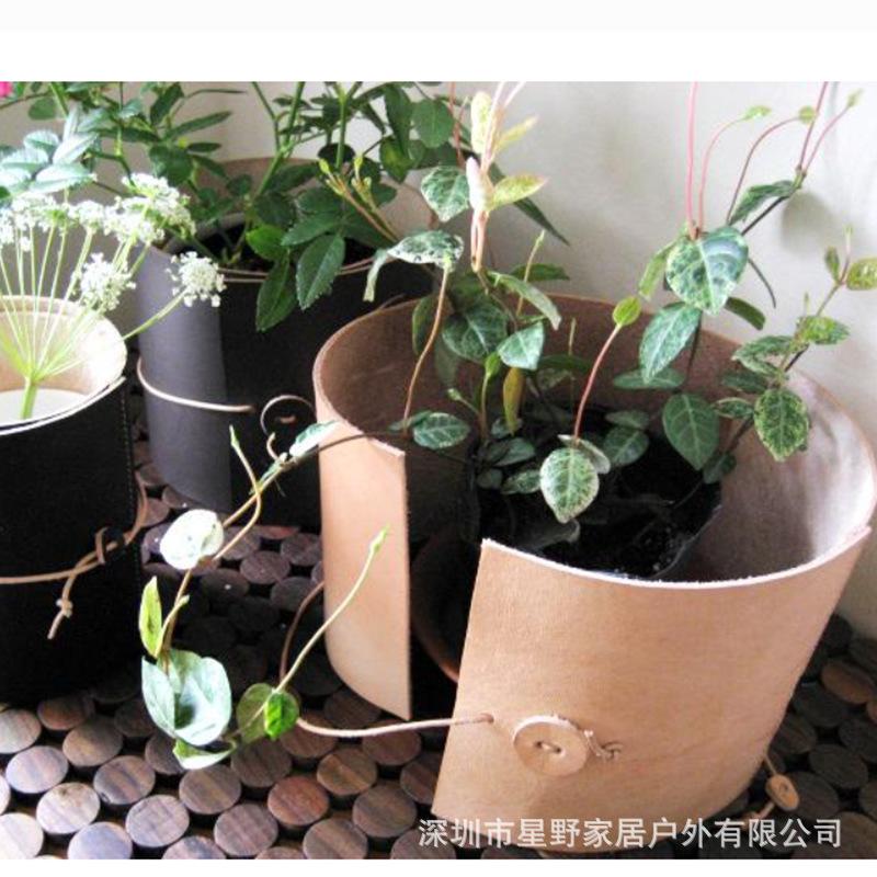 花盆卷