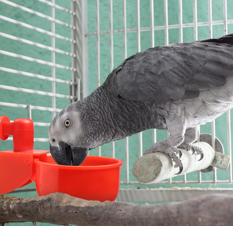 QQ图片20211028134612