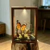 Marco de Fotos Transparente Acrílico Hueco de Doble Cara de 4 cm de Profundidad con Ranura y Diseño Deslizante, Caja de Exhibición 3D de Micro-Paisaje Adorno DIY