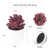 Más de 100 Tipos de Combinaciones de Plantas Suculentas Mini de Plástico Simuladas en Maceta, Mini Bonsáis Suculentos Más Vendidos Transfronterizos, Decoración para el Hogar, Adornos Creativos