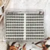 Pestañas Postizas Perezosas de Tres Pasos, Volumen Ultra Grande, Sin Pegamento; Pestañas Manga Segmentadas Diarias Ultra Suaves; Grupos Individuales Ligeros Naturales para Maquillaje