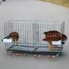 Jaula automática para pollos ponedores con rodillo, jaula plegable para gallinas ponedoras, jaula para pollos de cría doméstica, jaula para pollos de huevo crudo, se puede enviar por cuenta de otro