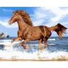 Dropshipping Transfronterizo Pintura al Óleo Digital al por Mayor Pinturas sin Marco 40X50 Amazon Wish Fábrica de Pintura Vestíbulo Ozon Caballo