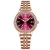 Reloj luminoso resistente al agua de marca suiza para mujer, reloj de cuarzo ultrafino para mujer, popular en TikTok AliExpress, entrega única.