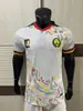 2627 Novas Camisas de Futebol Versão Jogador, o Mesmo Estilo das Camisas Usadas em Partidas da Escócia, País de Gales e Uruguai, Podem Ser Impressas com Números e Enviadas em Nome de Terceiros