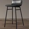 Taburete de Bar de Moda Estilo Ins Nórdico, Taburete Alto Moderno Minimalista, Silla de Bar para Uso Doméstico, Arte de Hierro con Respaldo, Silla de Bar de Lujo Ligero