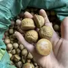 Fruta Fengliu, Fruta Cabeçuda, Fruta de Caroço e Fruta Cereja Dourada São Usados para Fazer um Forte Vinho de Ervas